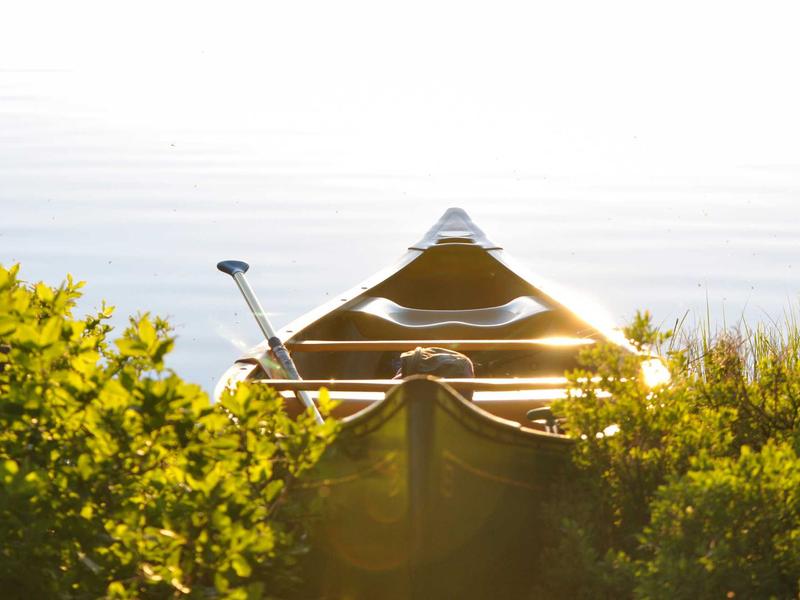 sudoku cognitive benefits screenshot 1